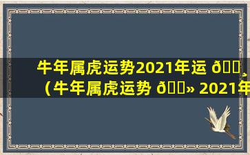 牛年属虎运势2021年运 🌸 （牛年属虎运势 🌻 2021年运势12生肖）